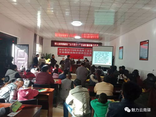 云南驿镇多措并举开展外出务工人员专项服务，助力乡镇经济管理提质增效